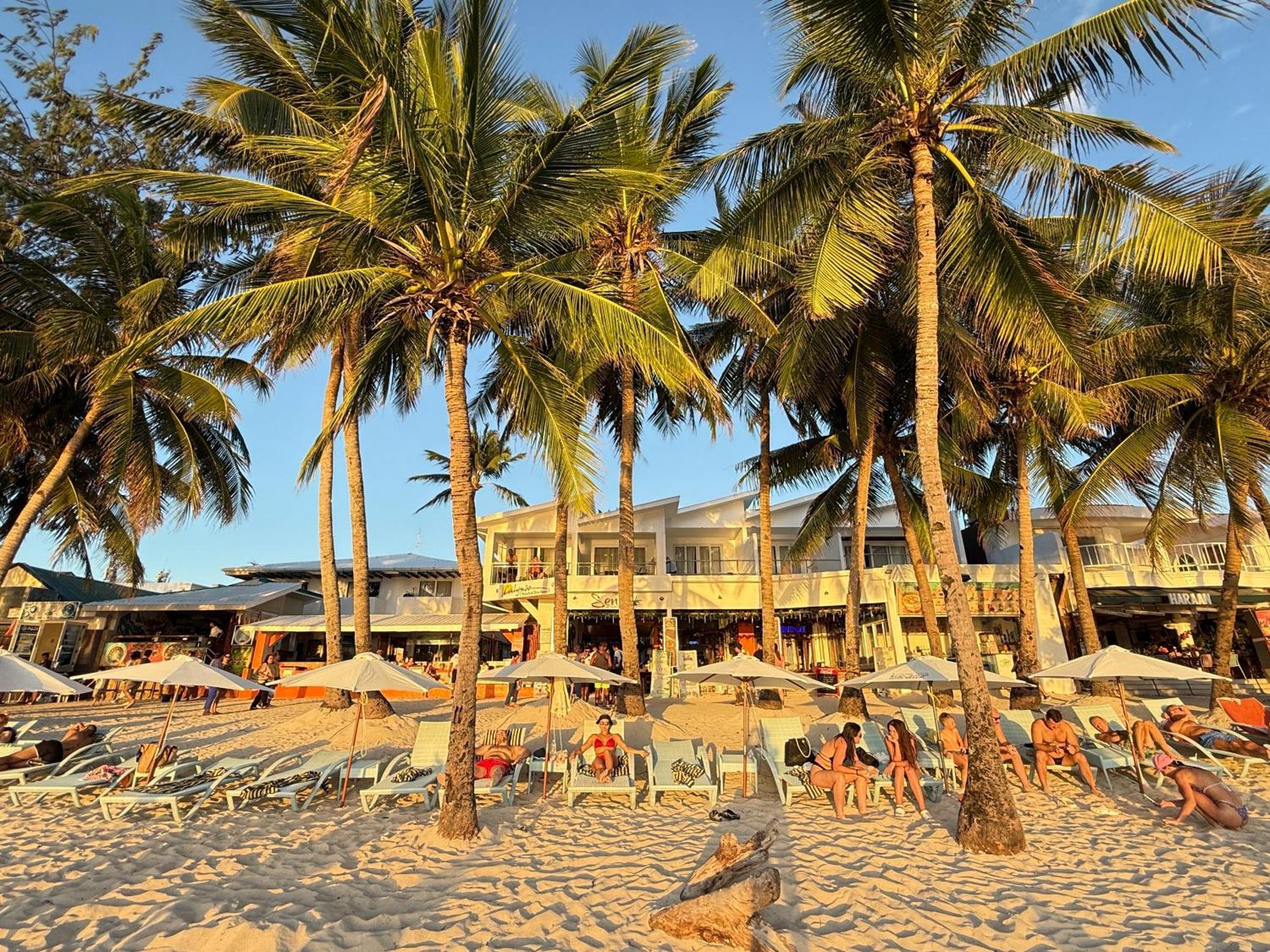 Calypso Beach And Dive Resort Manoc-Manoc Bagian luar foto